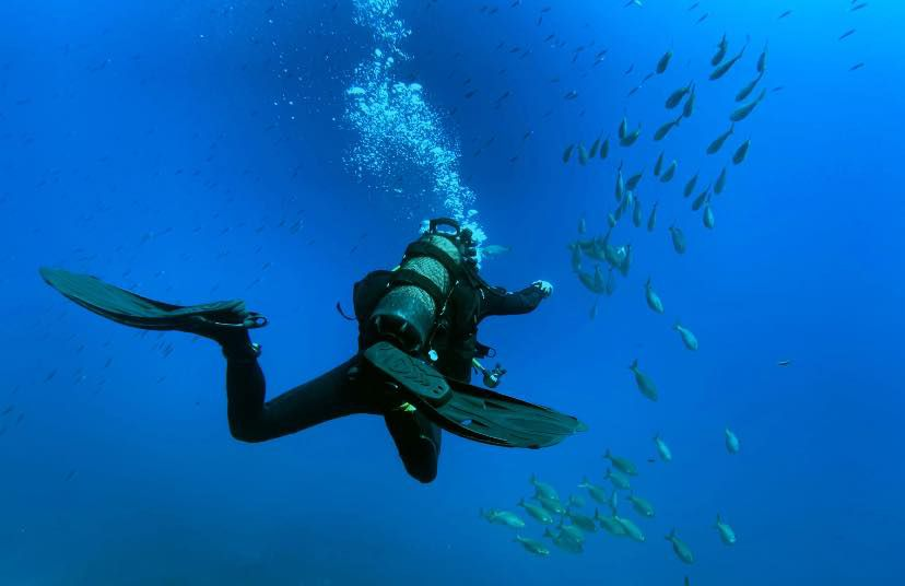 snorkelling activity